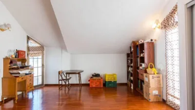 House in Los Dolores photo 40