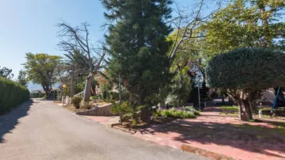 House in Los Dolores photo 57