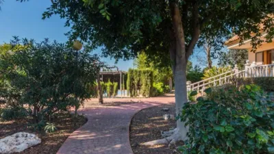 House in Los Dolores photo 60