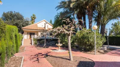 House in Los Dolores photo 61