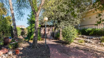 House in Los Dolores photo 64