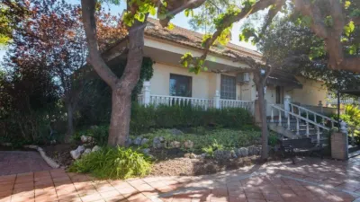 House in Los Dolores photo 68