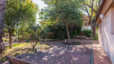 House in Los Dolores photo 69