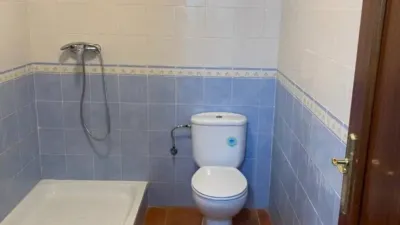 Miniatura 12