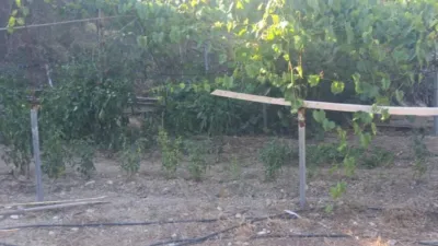 Terreno en venta en Teulada - Vista 4