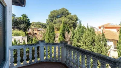 House in La Alberca photo 34