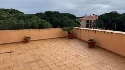 Apartment in Pals photo 21