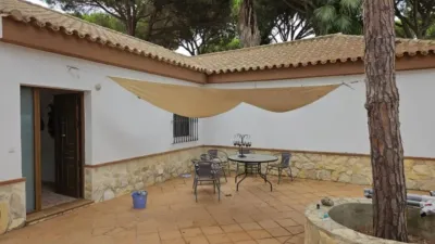 Chalet in Chiclana de la Frontera photo 4