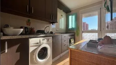 Penthouse on Manuel Navarro Mollor Street photo 13