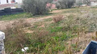 Terreno en venta en Salinas - Vista 4