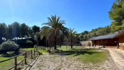 Rustic house in Albinyana photo 14