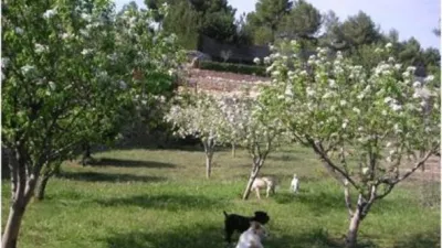 Rustic house in Albinyana photo 21