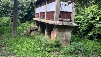 Rustic house in Barcia (Siador) photo 16