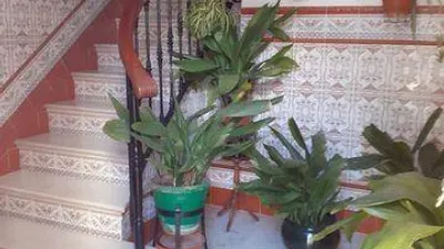 House in Archidona photo 4