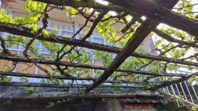 Rustic house in A Torre (Porqueira) photo 3