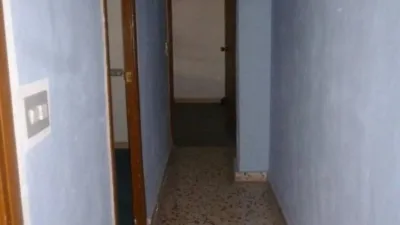 Apartment in El Palmar photo 12