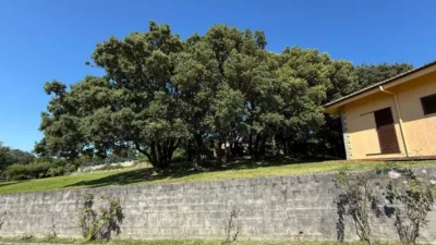 Chalet in Arnuero photo 82