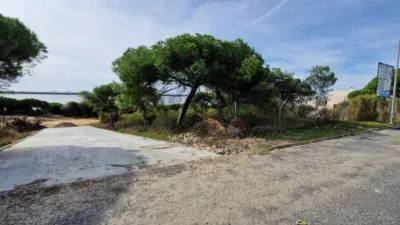 Chalet en venta en La Rábida, La Rábida (Palos de la Frontera) de 490.000 €