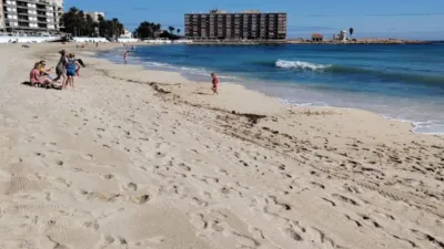 Piso – Torrevieja - Vista 2
