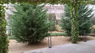 Piso en alquiler en Argüelles - Imagen 3