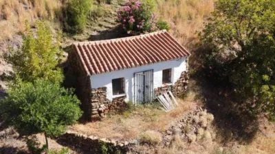 Rustic house in Istán photo 2