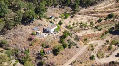 Rustic house in Istán photo 35