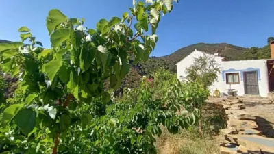 Rustic house in Istán photo 43
