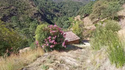 Rustic house in Istán photo 46