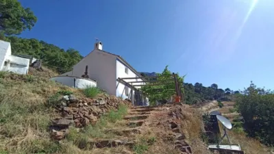 Rustic house in Istán photo 47