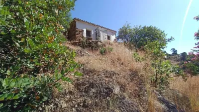 Rustic house in Istán photo 50