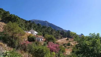 Rustic house in Istán photo 52