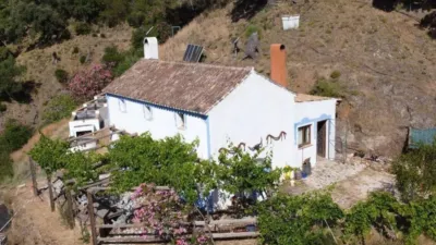 Rustic house in Istán photo 5