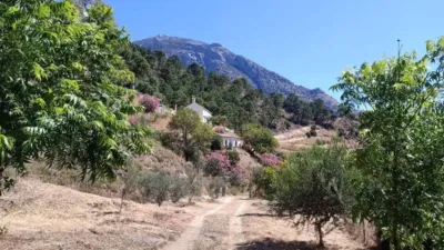 Rustic house in Istán photo 60