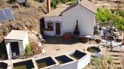 Rustic house in Istán photo 8