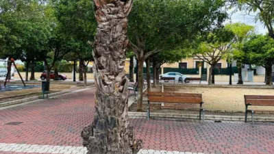 Terreno en venta en Matola-La Foia-Las Bayas-La Marina - Vista 4
