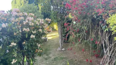 House in Parada (Silleda) photo 3