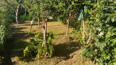 House in Parada (Silleda) photo 5