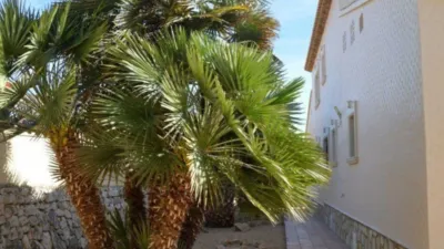 House in Cala Manzanera photo 6