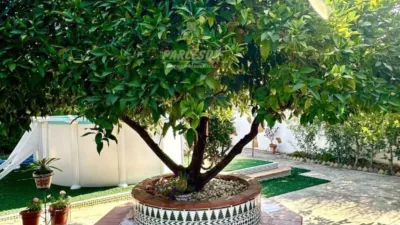 Rustic house in Cortijo de La Torre photo 14
