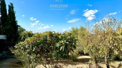 Rustic house in Cortijo de La Torre photo 21
