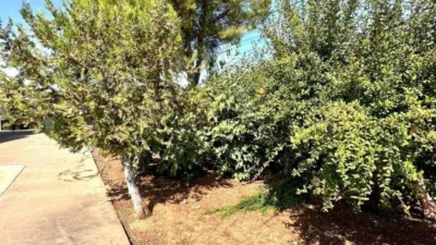 Rustic house in Cortijo de La Torre photo 22
