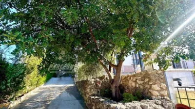 Rustic house in Cortijo de La Torre photo 4