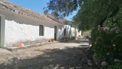 Rustic house on Calle Jubrique, No. 355 photo 11