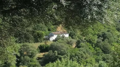 Rustic house on Calle Jubrique, No. 355 photo 18