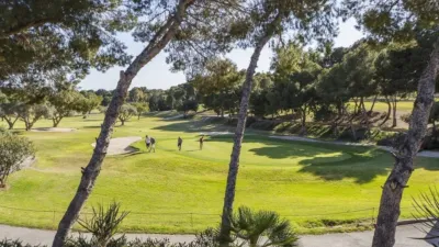 Chalet in Orihuela photo 21