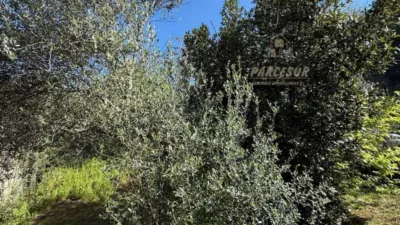 Rustic house in Cortijo de La Torre photo 8