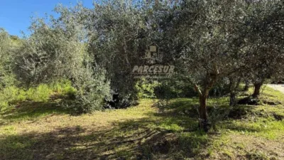 Rustic house in Cortijo de La Torre photo 9