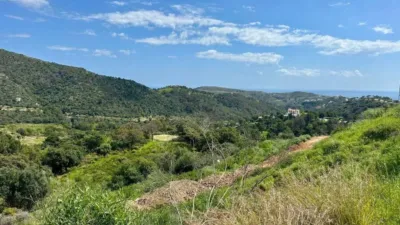 Terreno en venta en Centro, Centro (Málaga Capital) de 449.000 €