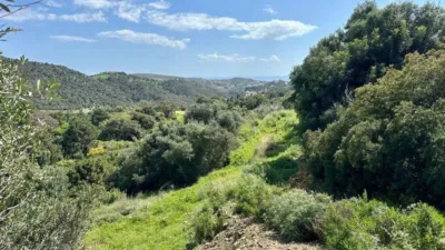 Terreno en venta en Centro, Centro (Málaga Capital) de 449.000 €