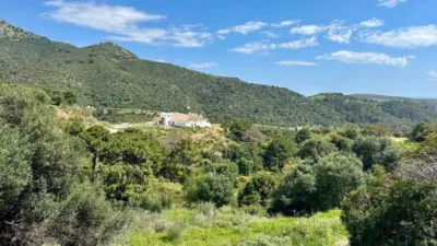 Terreno en venta en Centro, Centro (Málaga Capital) de 449.000 €